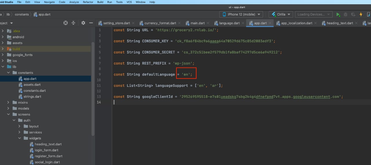 How to Build a Multi-Language App? – Appcheap